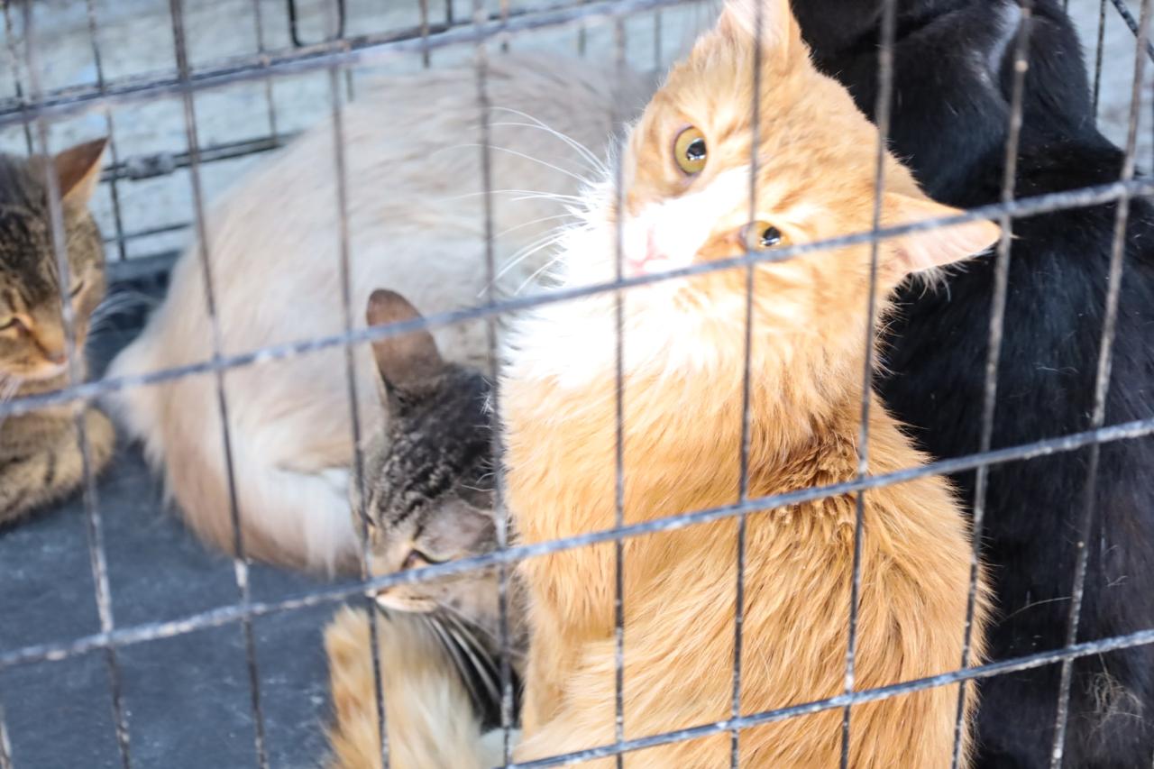 whatsapp image 2026 04 14 at 5.21.47 pm 3