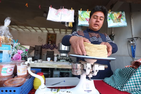 Tortilla sorprende con estabilidad en Tlaxcala mientras jitomate cambia de precio