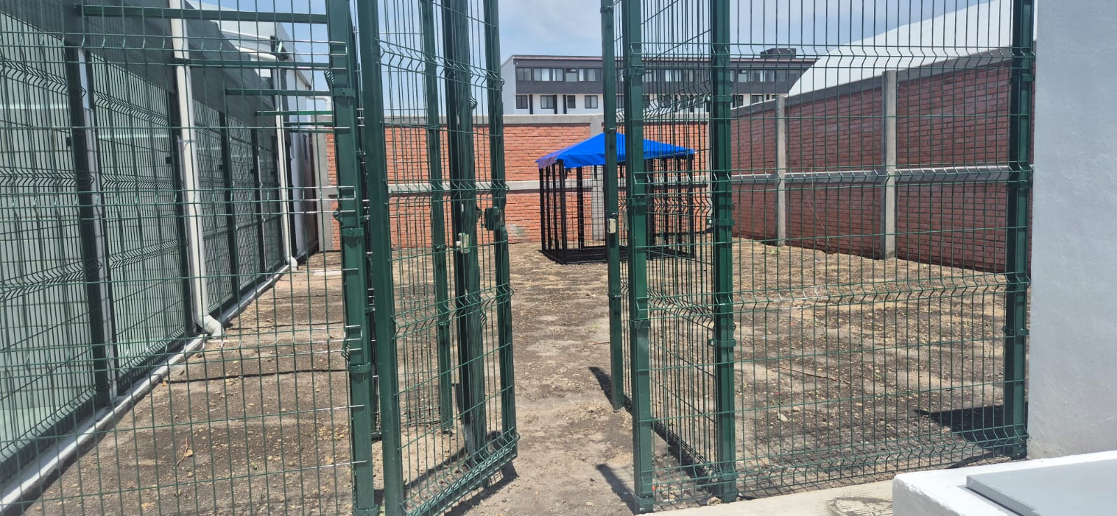 whatsapp image 2026 04 16 at 5.20.21 pm 1