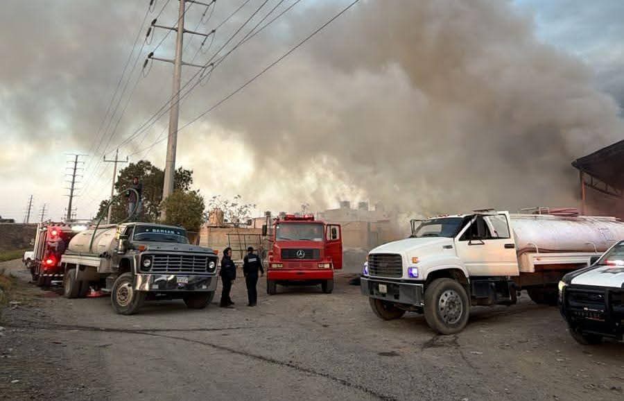 whatsapp image 2026 04 16 at 8.04.07 am