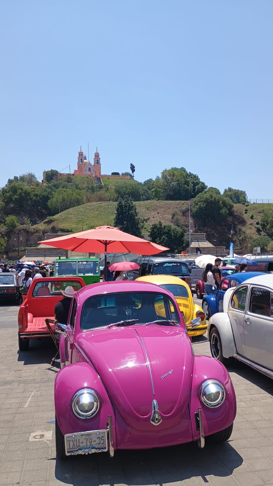 whatsapp image 2026 04 26 at 1.42.49 pm 1