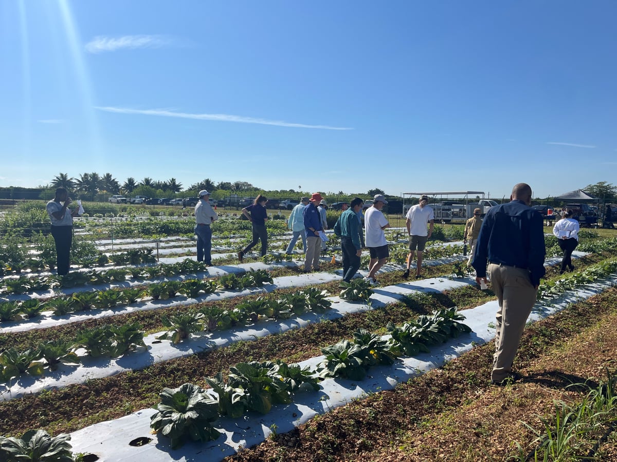 Un proyecto innovador une salud, campo y alimentación