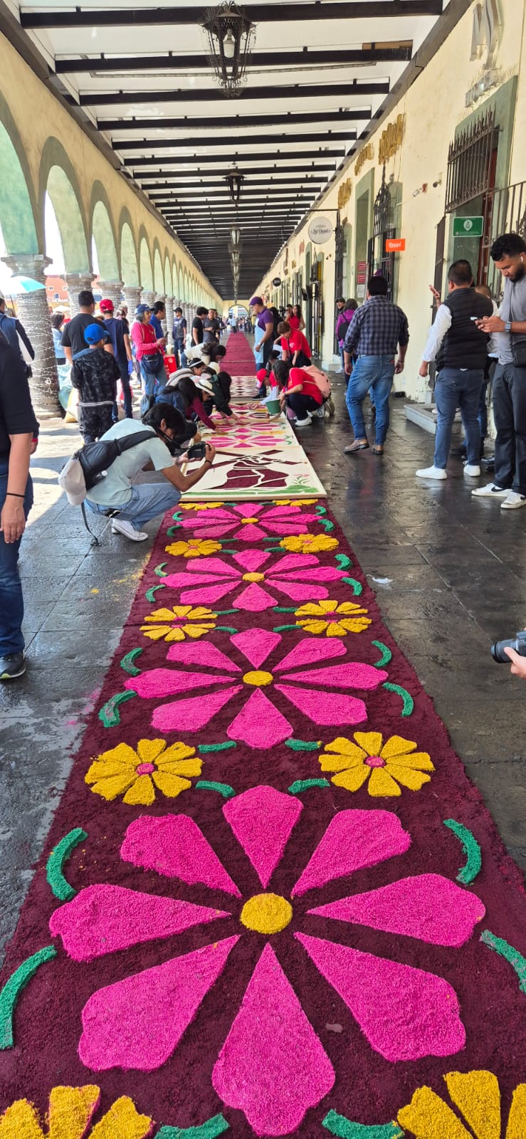 whatsapp image 2026 04 02 at 8.27.01 pm