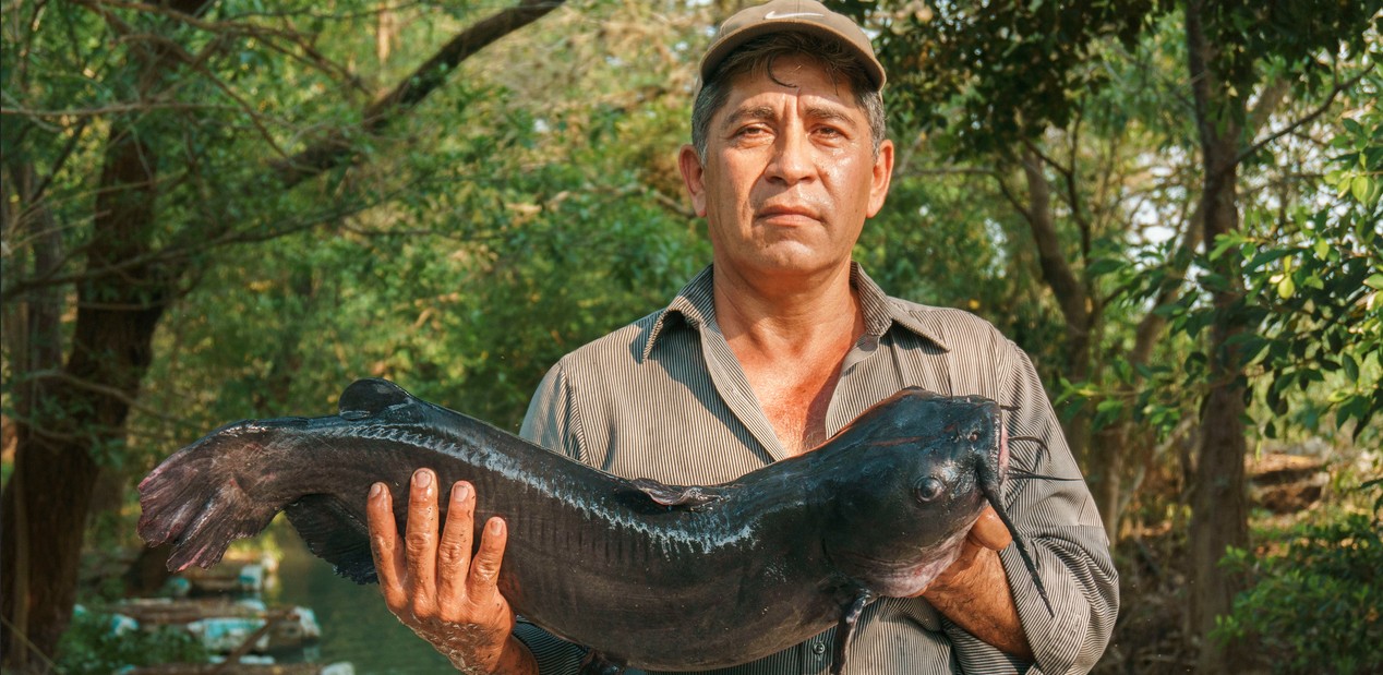 Arrancan vedas en México: lo que debes saber ahora