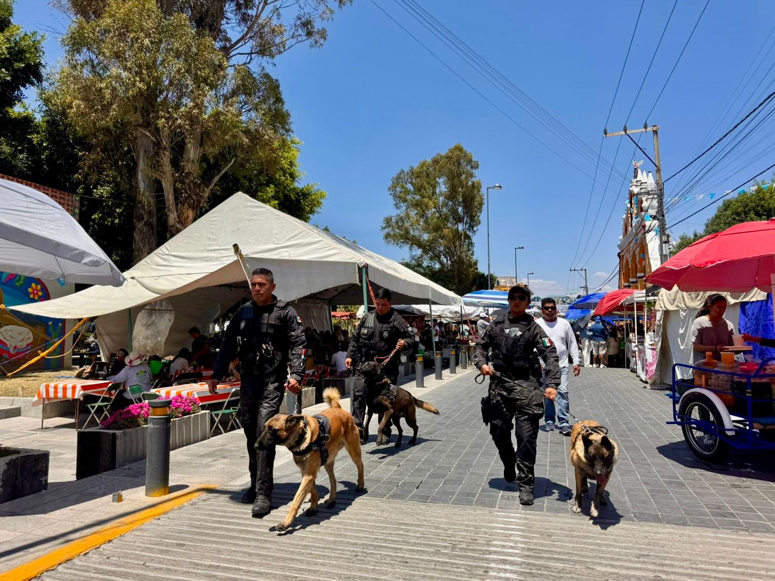 whatsapp image 2026 04 05 at 9.36.36 pm 1