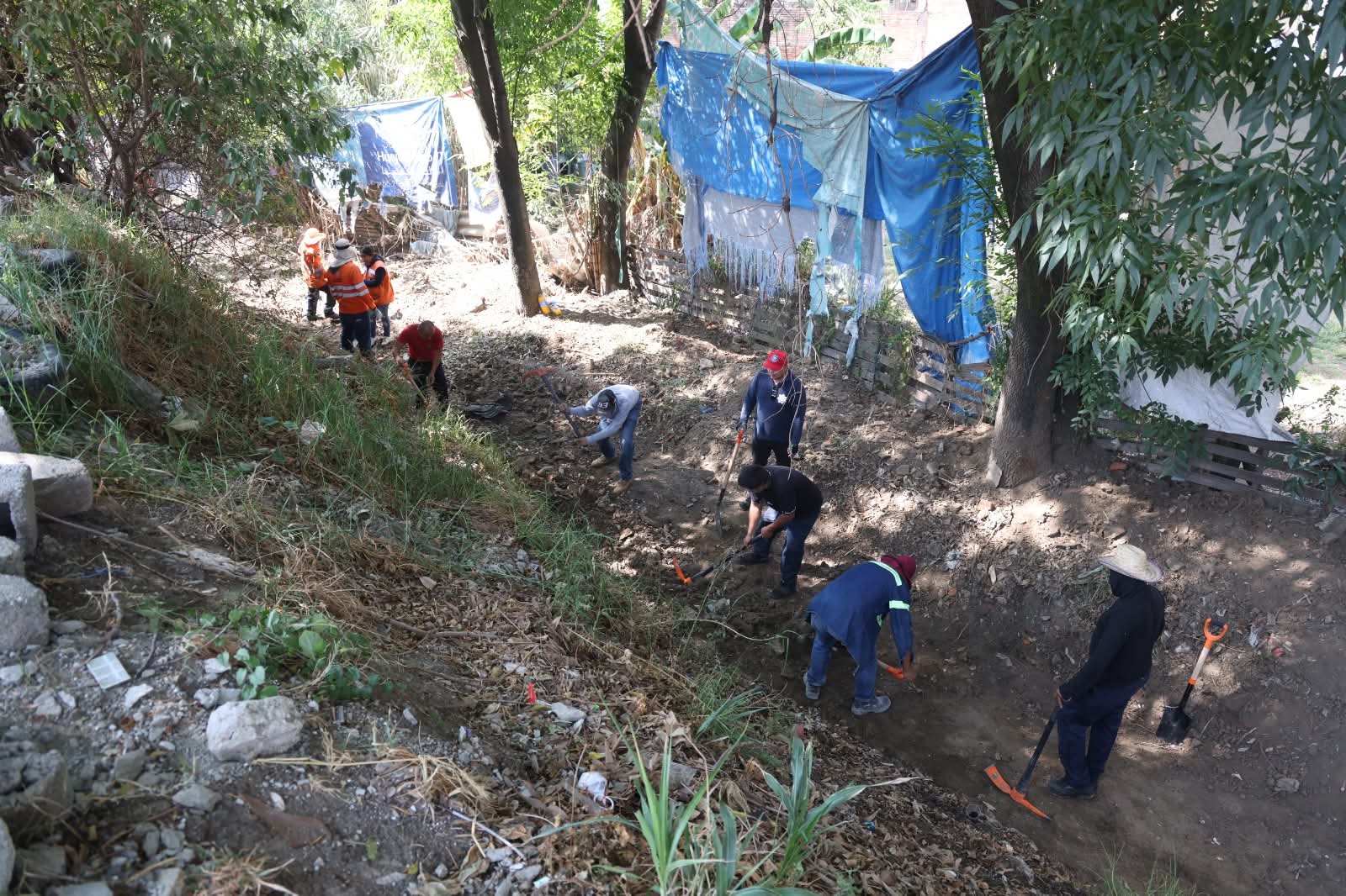 whatsapp image 2026 04 06 at 6.09.13 pm