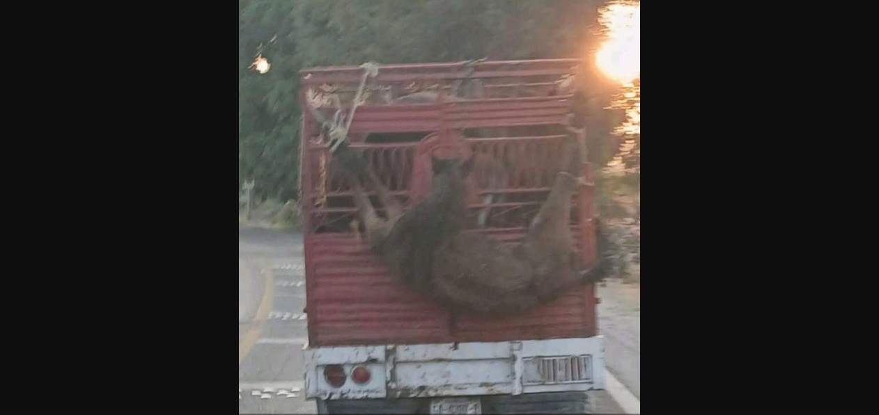 Un caso que encendió las redes sociales