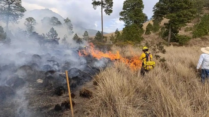 Primeros incendios forestales de Puebla en 2026 causan daños en 20 hectáreas