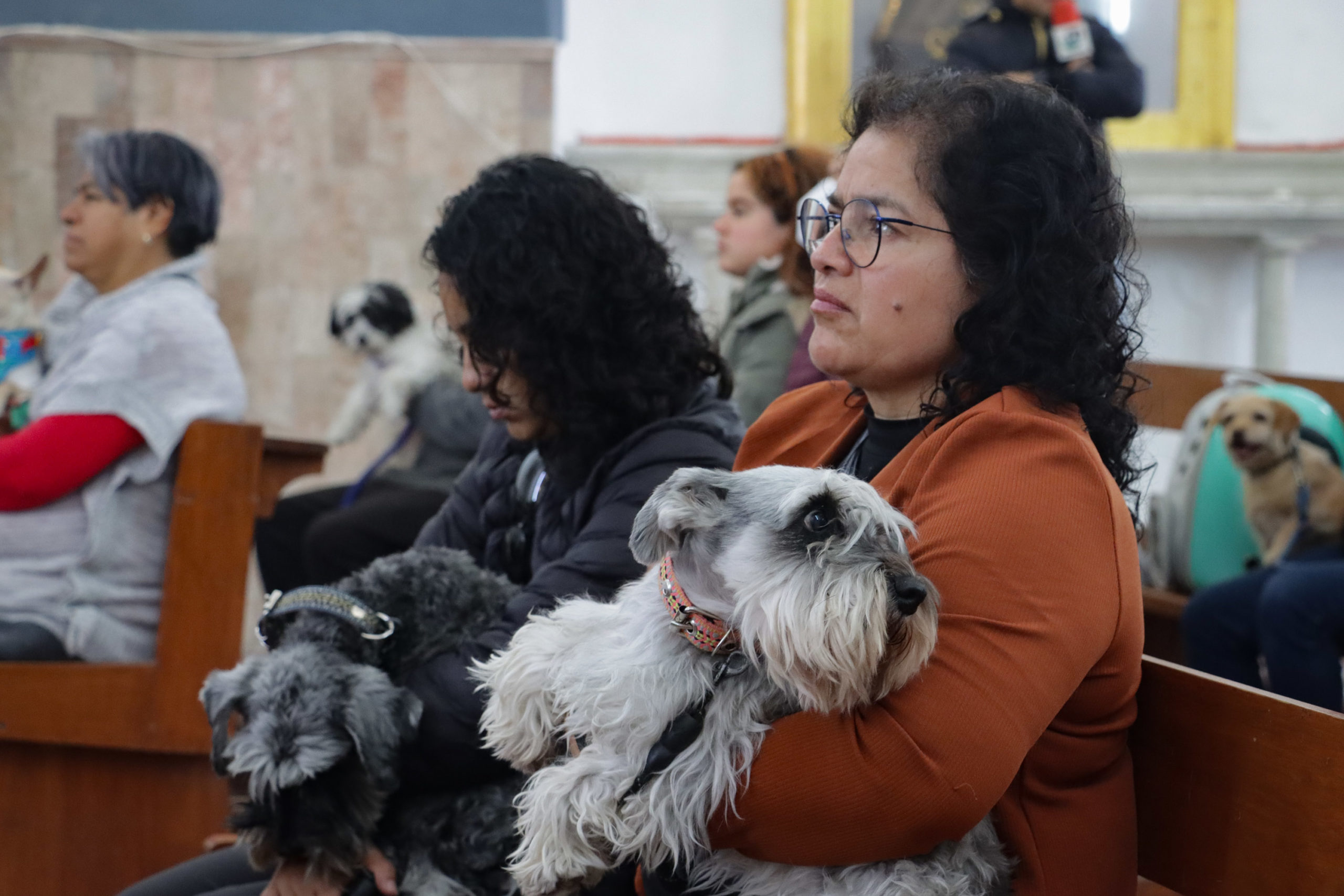 Iglesias de Puebla alistan bendición de mascotas por San Antonio Abad