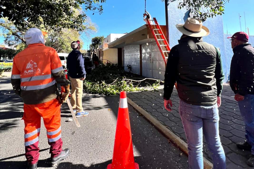 Previenen accidentes en Tlaxcala con retiro de ramas en bulevar clave