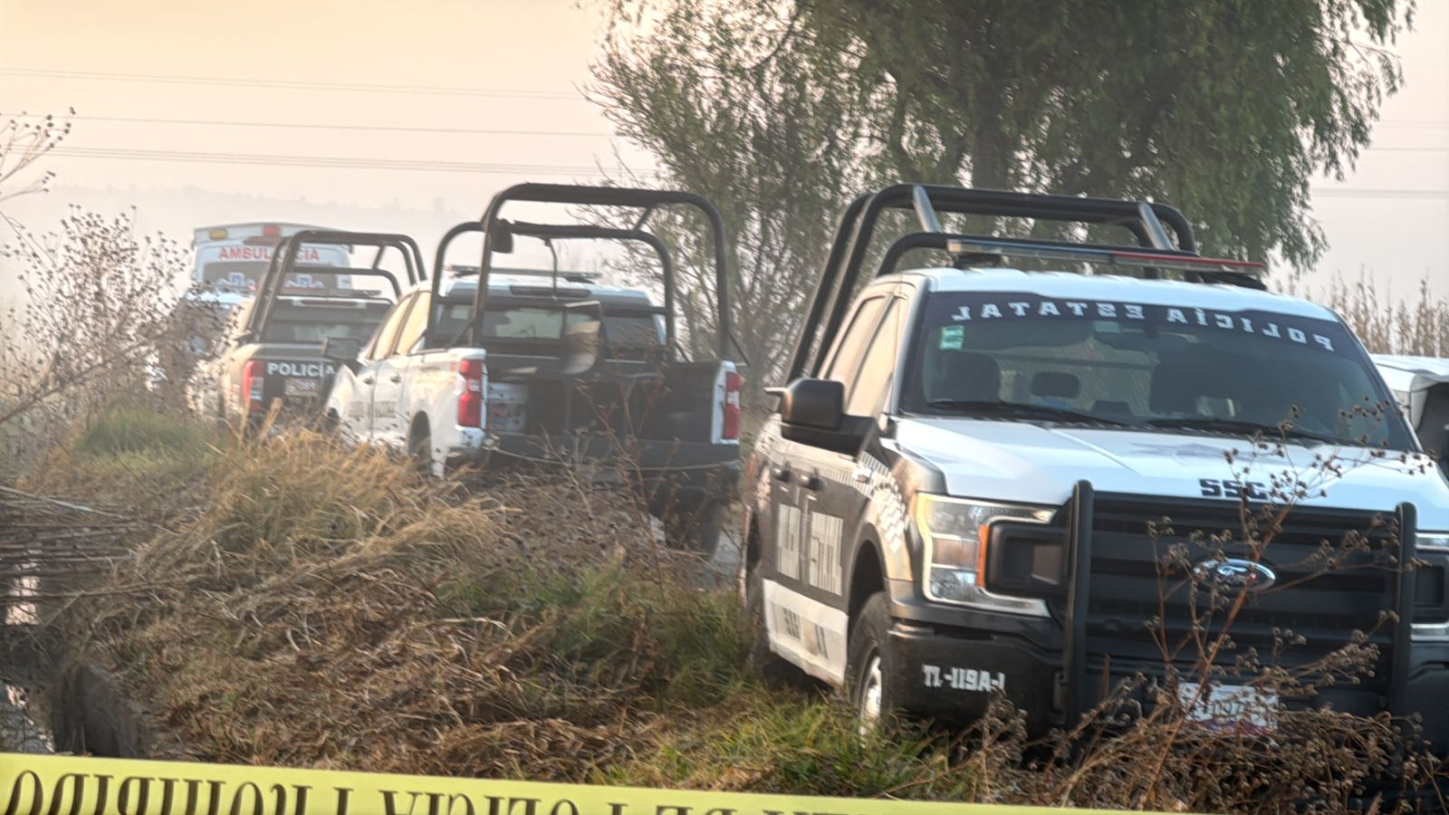 Hallan tres cuerpos sin vida en Techachalco; confirman que corresponden a “El Pescado”, su acompañante y un tercer masculino no identificado