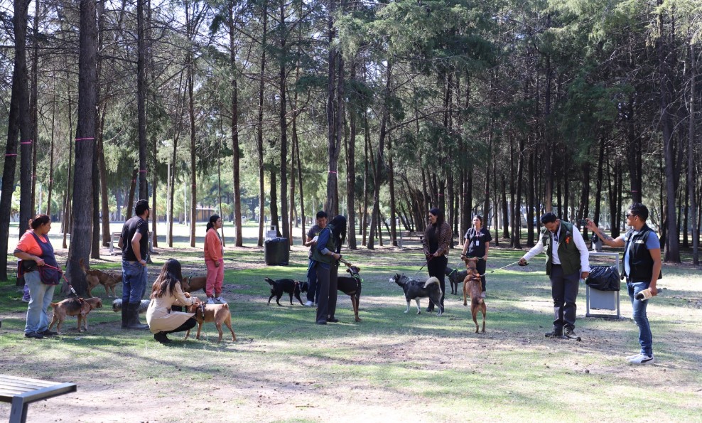 IBA impulsa la adopción responsable de seres sintientes en Puebla