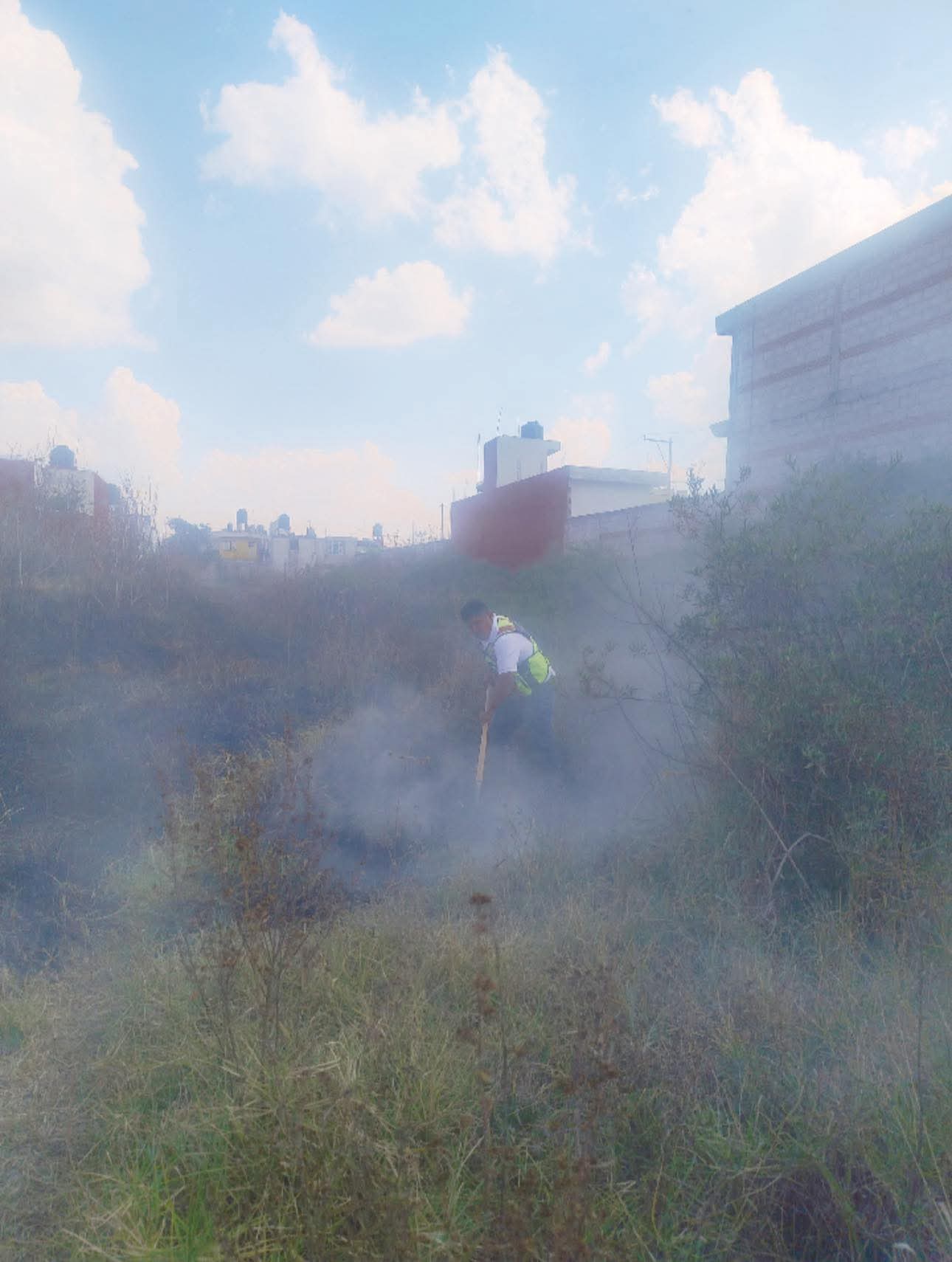 whatsapp image 2026 01 18 at 5.55.27 pm