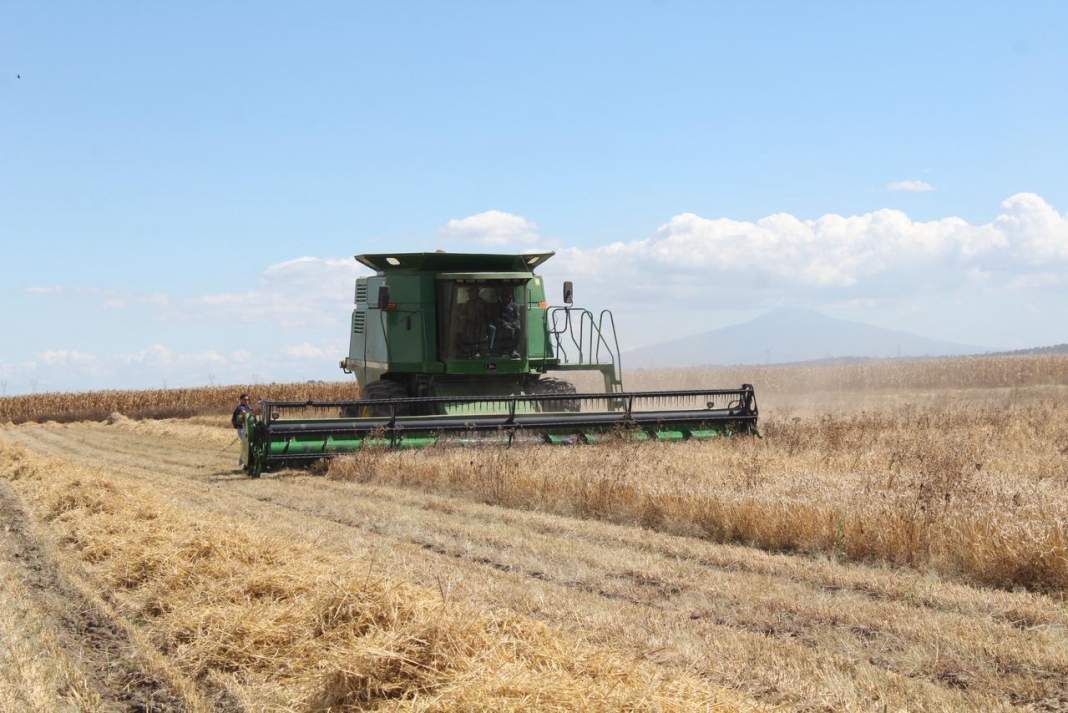 Fomtlax abre créditos agrícolas en Tlaxcala para impulsar al campo local