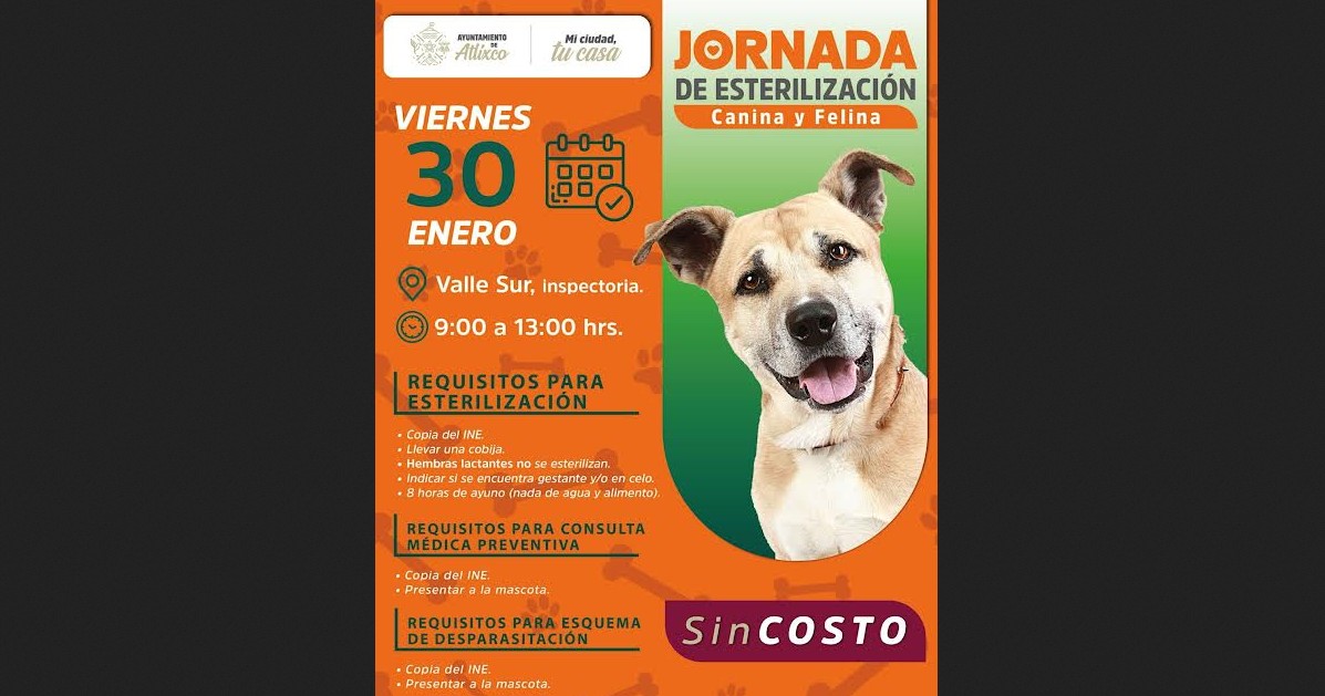 Ariadna Ayala refuerza el bienestar animal en colonias de Atlixco