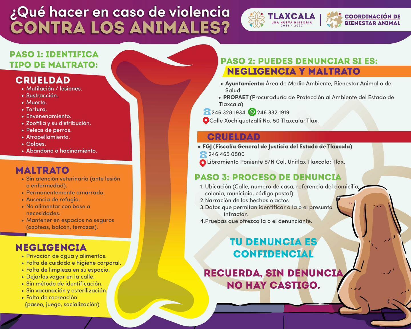 Violentómetro en Tlaxcala: así puedes detectar y denunciar el maltrato animal