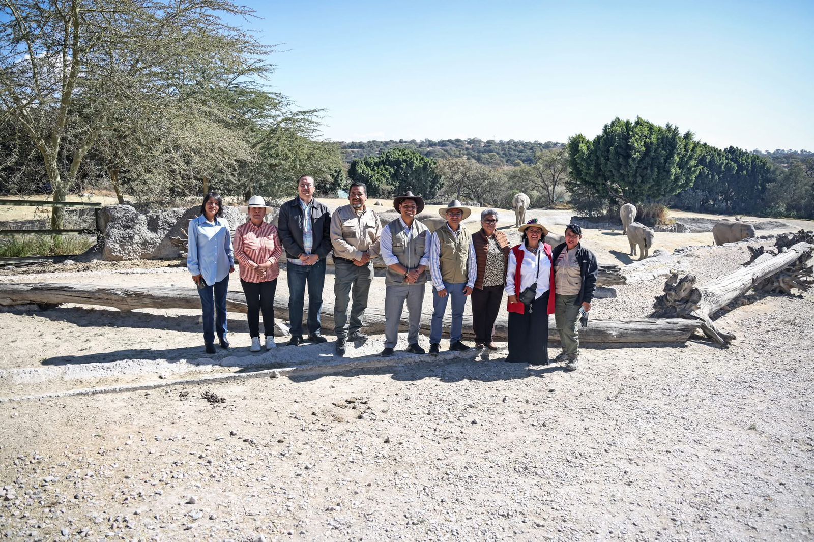 Gobierno de Cuautlancingo, SOSAPAC, y Africam Safari inician campaña de reciclaje de árboles navideños 