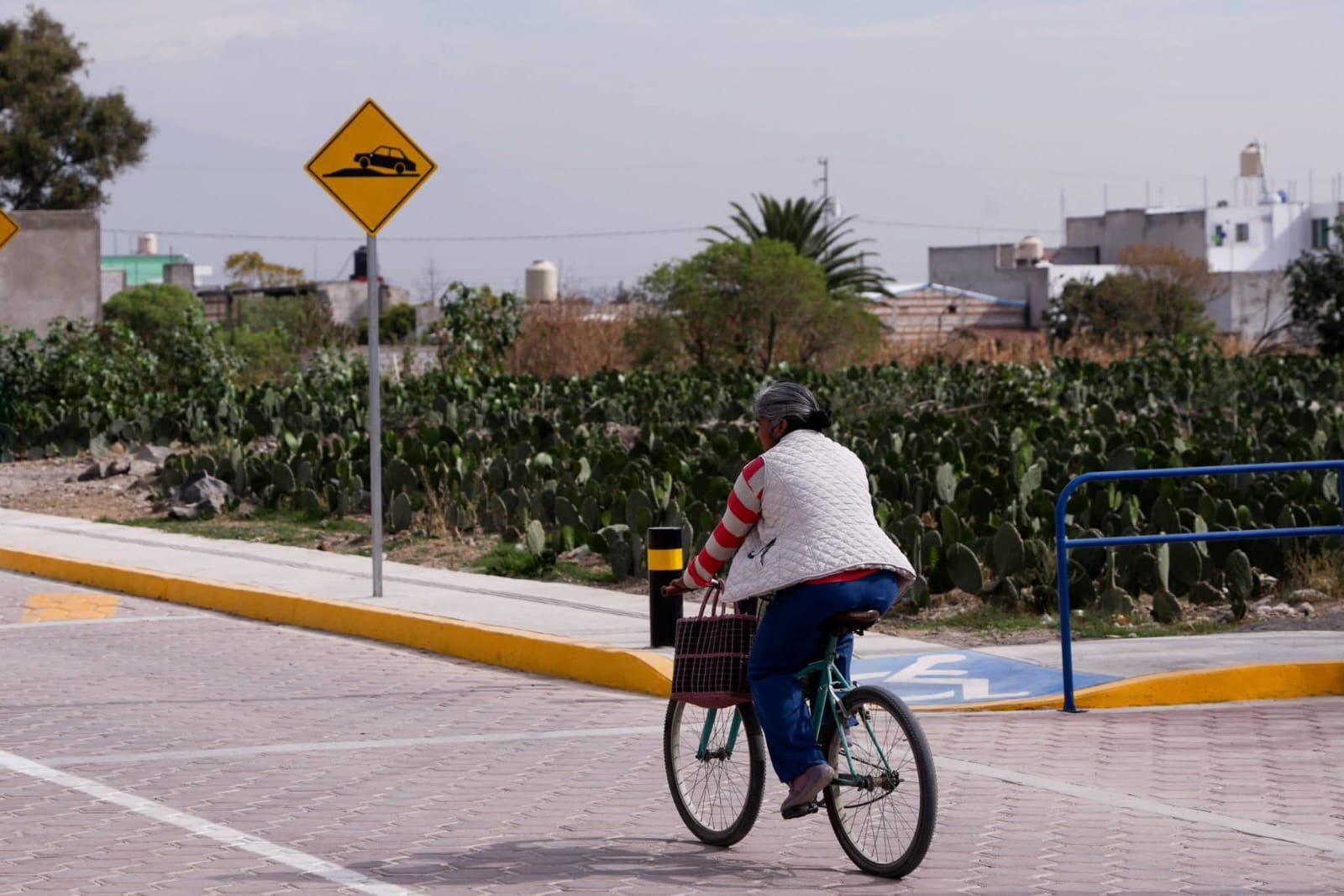 Adoquinamiento de la calle La Presa una realidad, compromiso cumplido: Guadalupe Cuautle