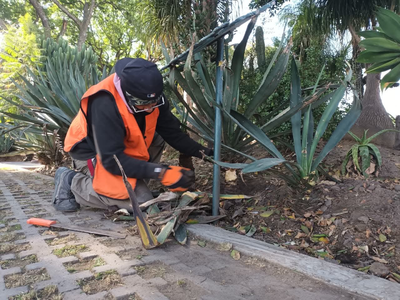 whatsapp image 2026 01 26 at 5.11.21 pm