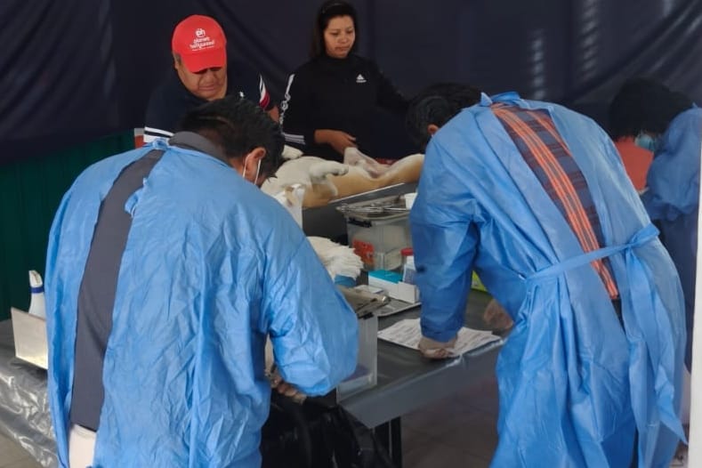 Arranca en Tlaxcala la campaña 2026 de esterilización gratis para perros y gatos