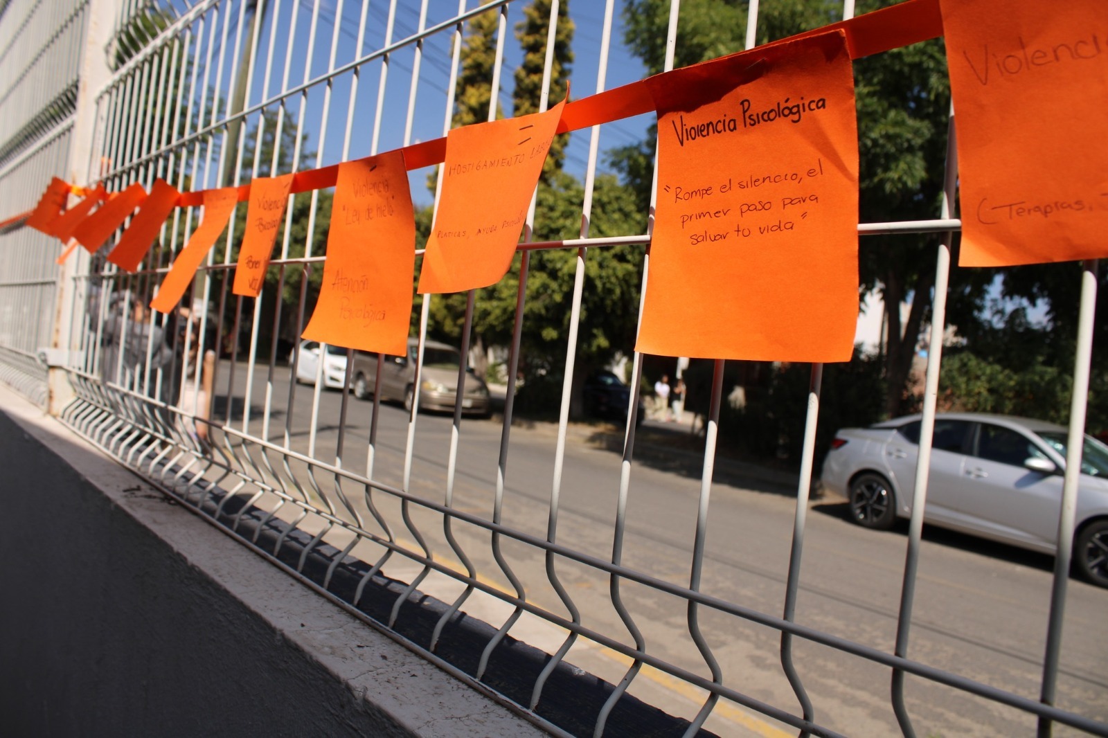 whatsapp image 2026 01 27 at 9.14.26 am