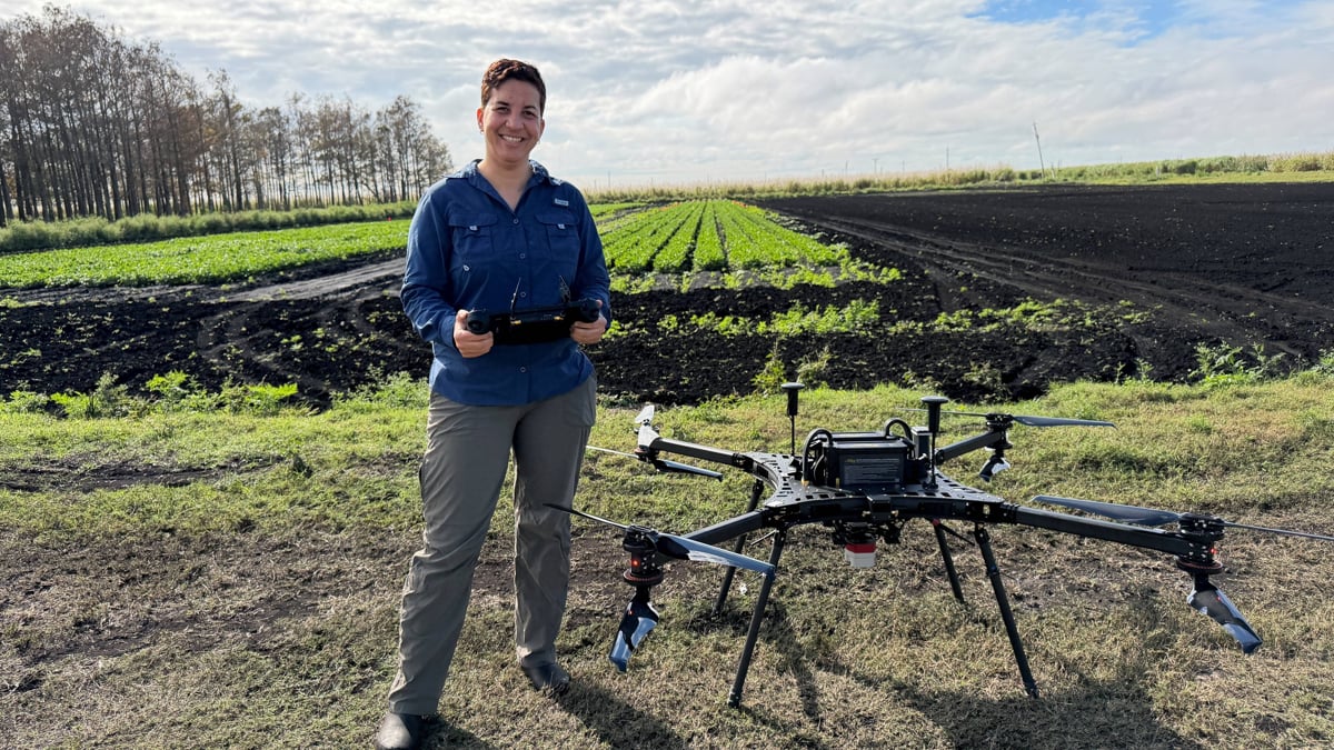 Inteligencia artificial y drones cambian las reglas del cultivo de apio