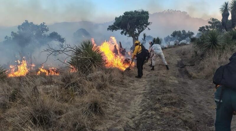 Provocar incendios en Tlaxcala será delito federal y habrá denuncias penales