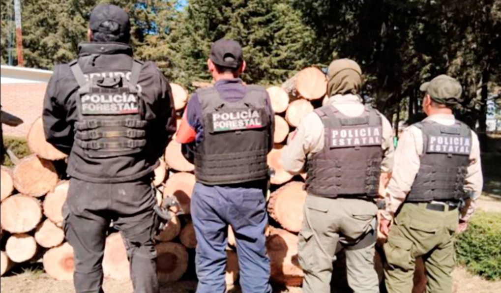 Puentes en lugar de muros: el mensaje desde la frontera