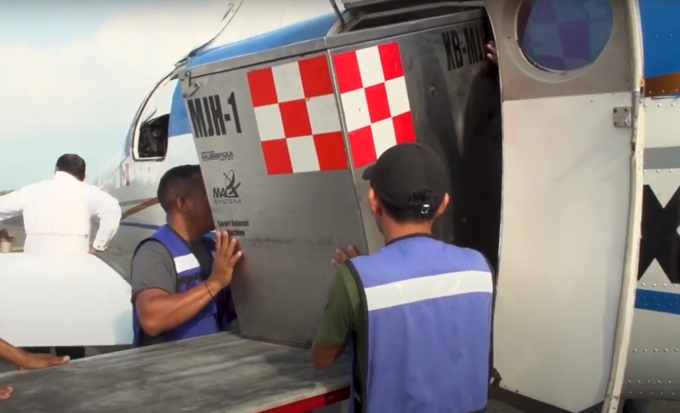 México reduce 57% los casos activos de Gusano Barrenador del Ganado