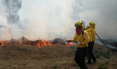 Tlaxcala reduce incendios forestales en 2025, pero más de 2 mil hectáreas ardieron