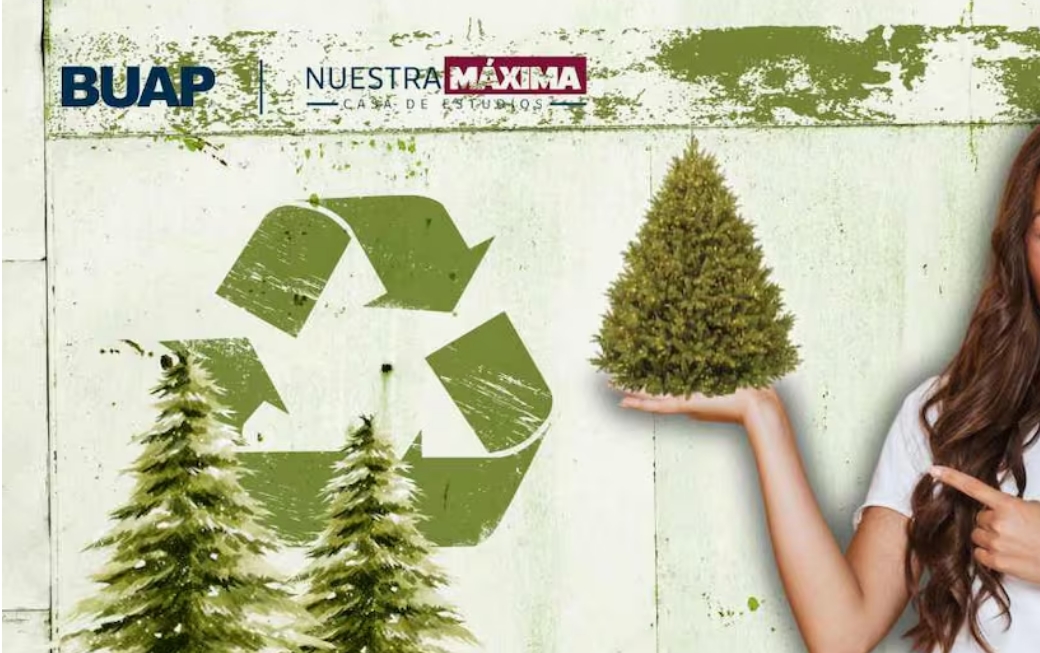 BUAP impulsa reciclaje con colecta de árboles de Navidad para composta