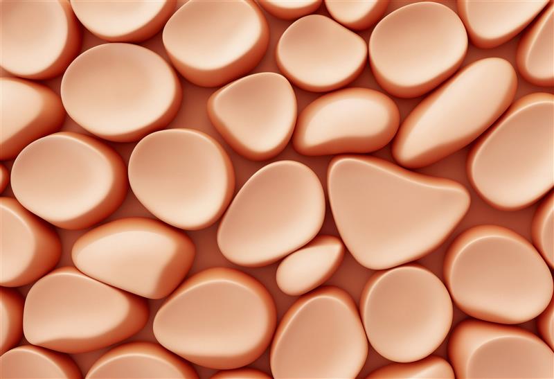 Alteraciones en la grasa visceral, una nueva clave en la insuficiencia cardiaca