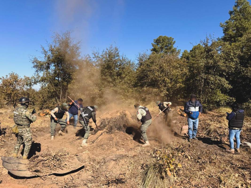 Golpe a la tala ilegal en Tlaxcala: aseguran madera y hornos