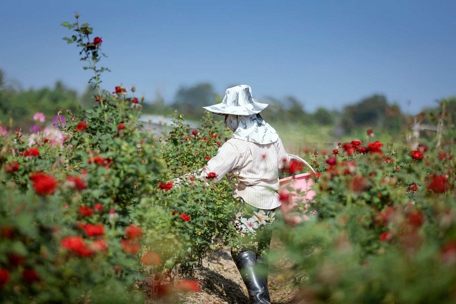 Detrás de cada ramo hay una industria que no vemos