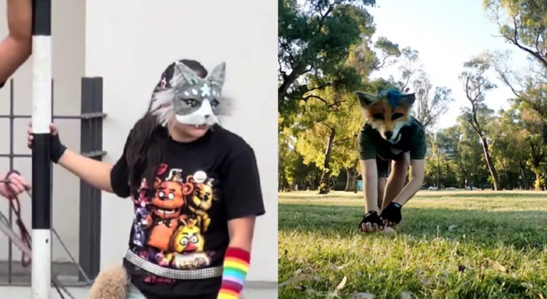 Qué son los therian y por qué están dando de qué hablar