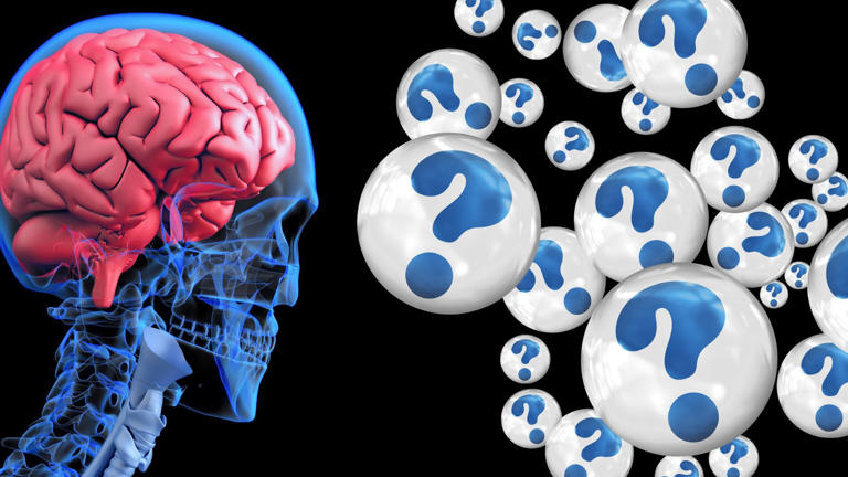 Los picos de azúcar después de comer y su posible impacto en el Alzheimer