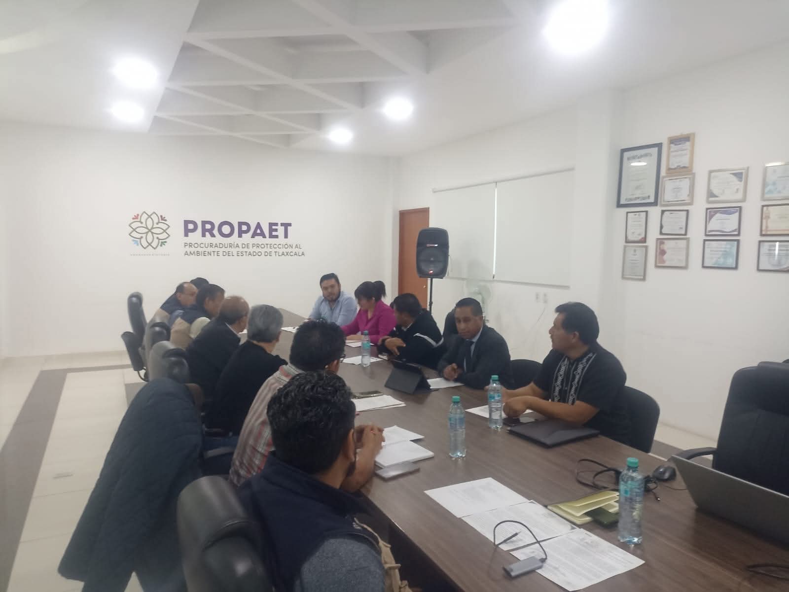 Tlaxcala alista protocolo interinstitucional contra la sobrepoblación canina y jaurías de riesgo