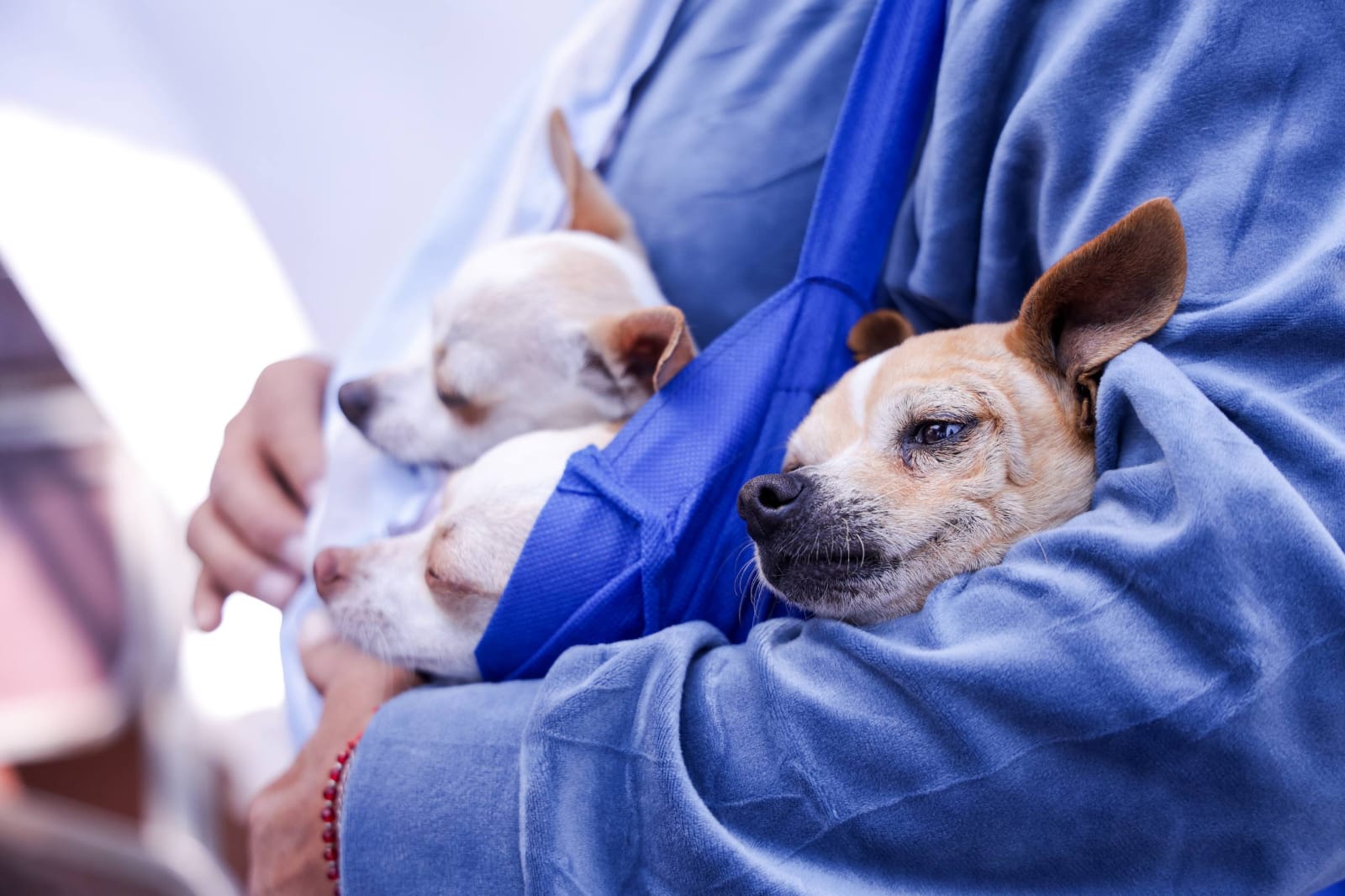 whatsapp image 2026 02 19 at 4.38.44 pm