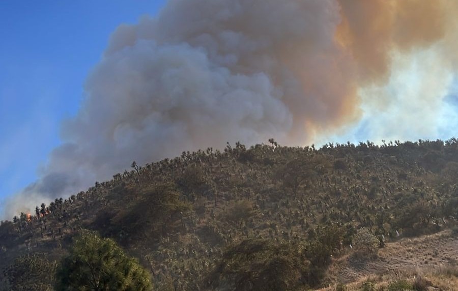 Incendio en Oriental pone en alerta a la región; brigadas regresan al amanecer