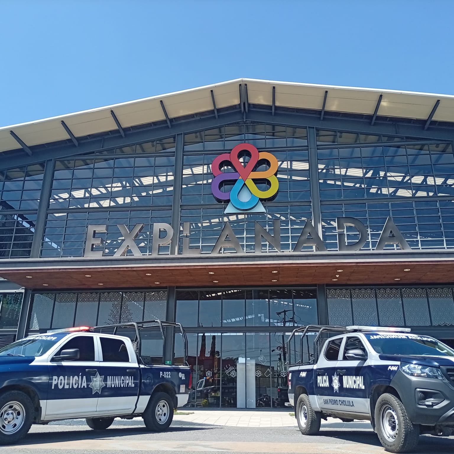 whatsapp image 2026 02 23 at 2.18.12 pm