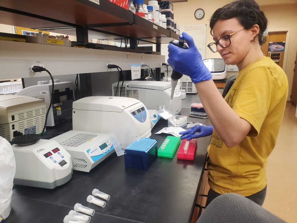 Nueva herramienta genética contra especies invasoras en Florida