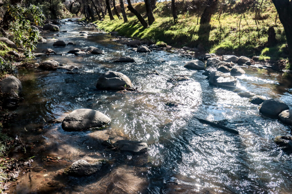 Convocan en Puebla a concurso digital para promover el cuidado del agua rumbo al Día Mundial 2026