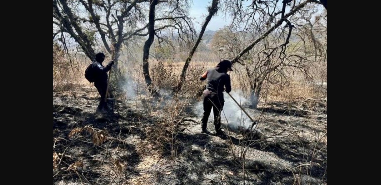 SSP logra controlar incendios en Libres y San Pedro Cholula