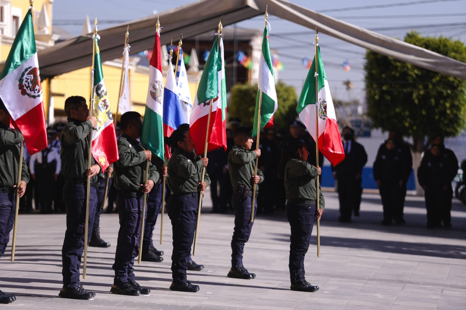 whatsapp image 2026 02 24 at 1.33.12 pm