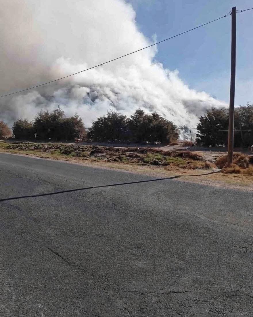 Arrasa incendio en Cuapiaxtla; activan contingencia ambiental en tres municipios