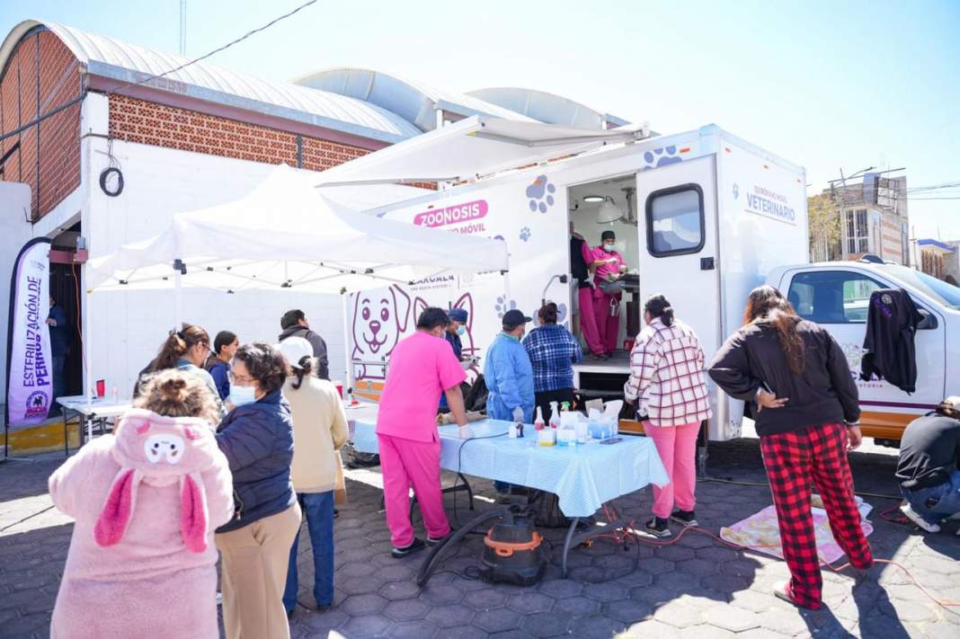 Jornada gratuita en Tlaxcala protege a cientos de mascotas y apoya la economía familiar