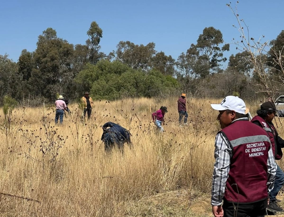 Realizan jornada de riego en el Cerro Zapotecas tras incendios recientes
