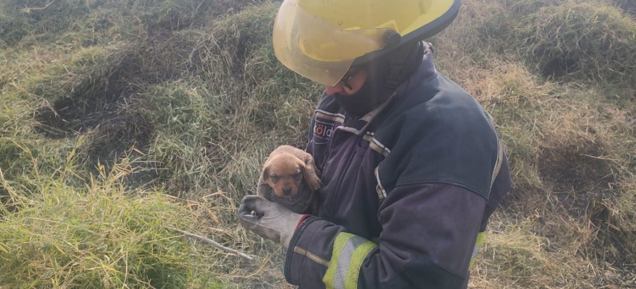 Rescate oportuno en medio del incendio