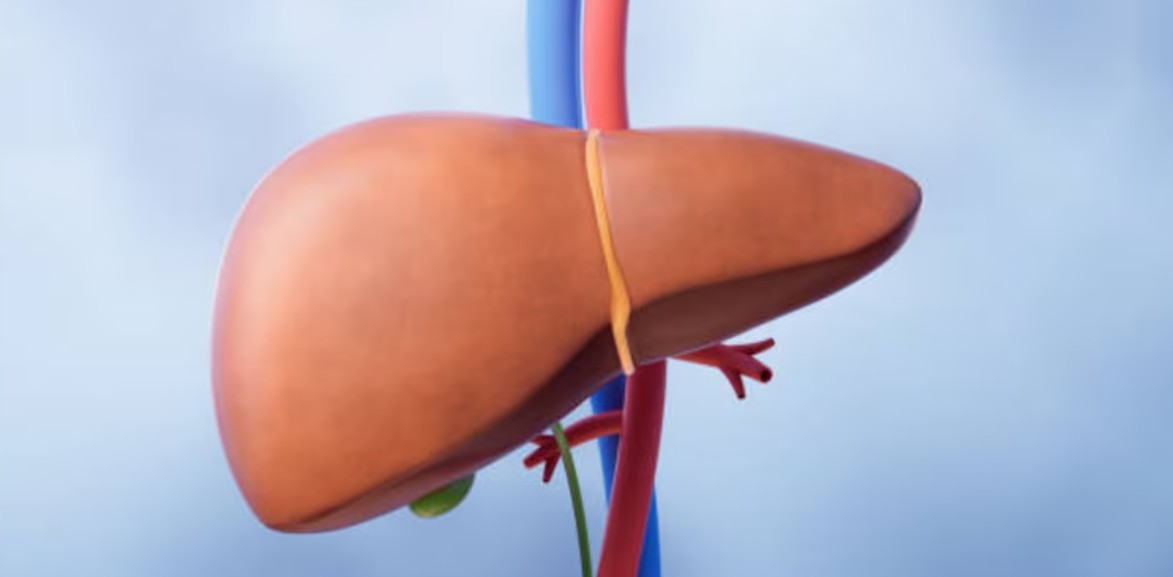 El aceite que usas al cocinar sí influye en la salud del hígado