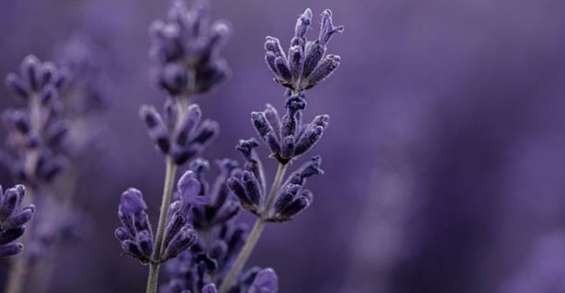 El insomnio, un problema más común de lo que parece